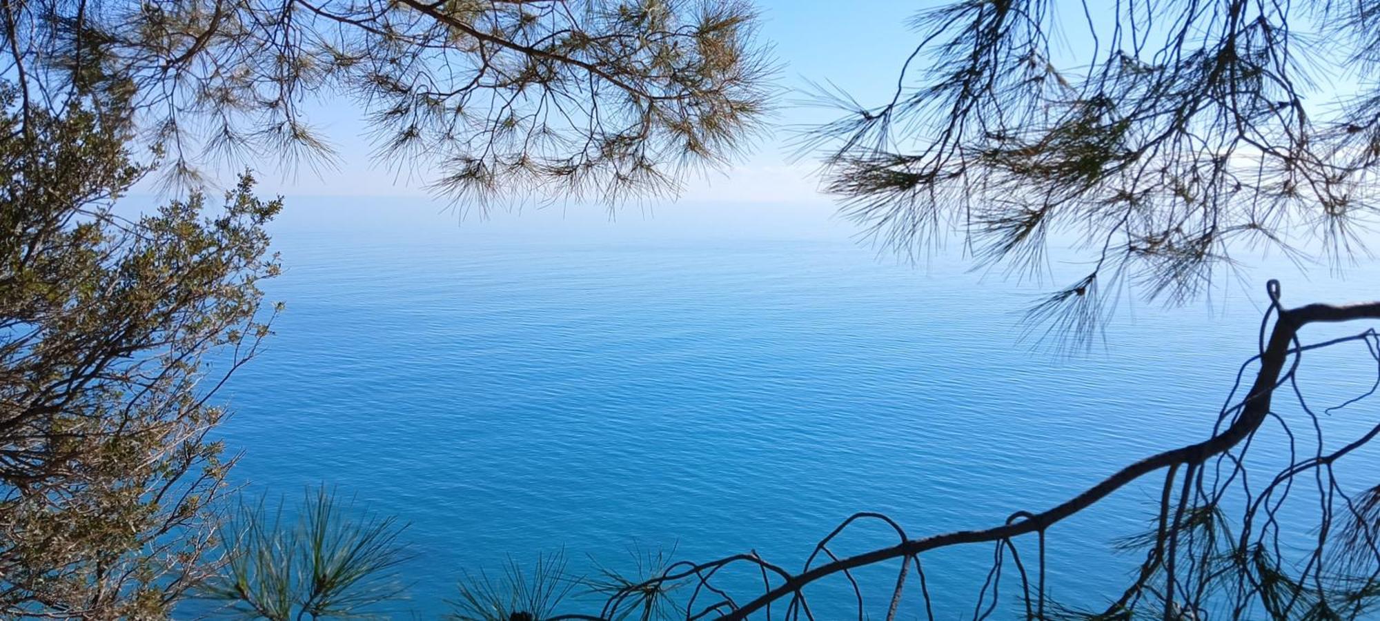Meridiana Case Al Mare Centro Mattinata Eksteriør bilde